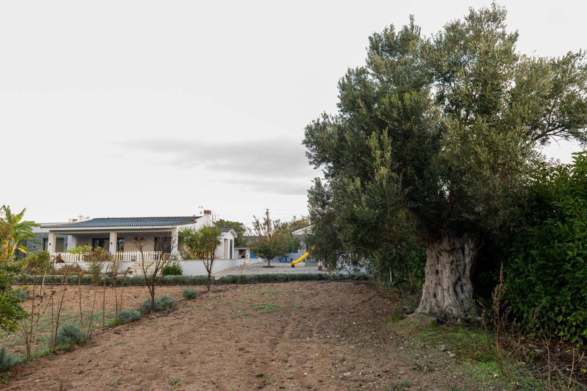 Bi ' Masa Culinary Farm Otel Urla Dış mekan fotoğraf